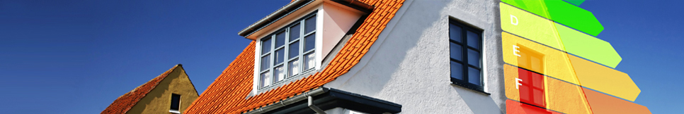 Banner - Frank Seegler