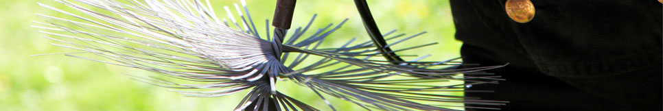 Banner - Frank Seegler